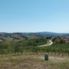 tra langhe e monregalese